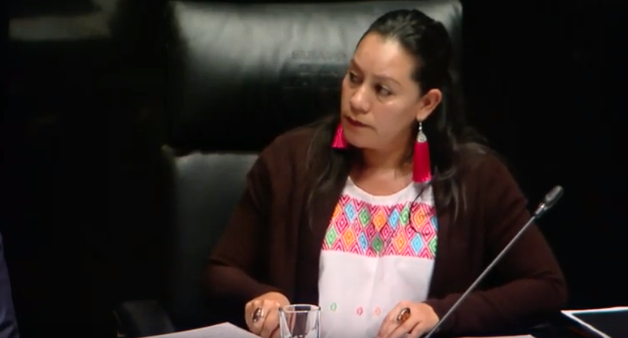 Comparecencia de la Sria del Bienestar María Luisa Albores González