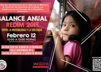 Balance Anual REDIM 2019