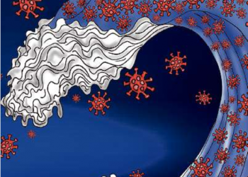 AMLO: Enfrentar el COVID-19 con estampitas