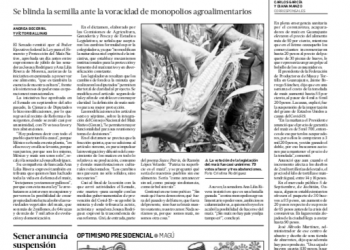 Al ejecutivo, ley para protección del maíz nativo