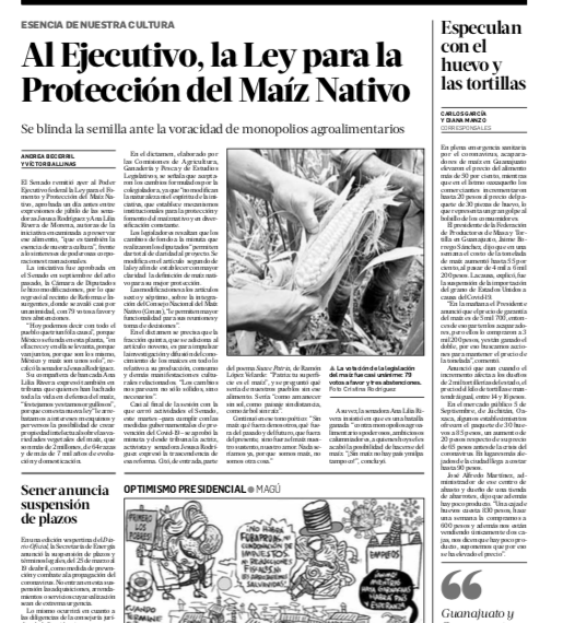 Al ejecutivo, ley para protección del maíz nativo