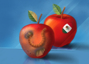 Corrupción: percepción contra realidad