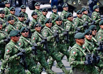 Empresas que simulan operaciones, favorecidas por la Sedena