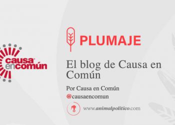 Causa en común: El asalto a la CNDH