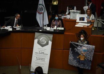 Suspenden comparecencia de López-Gatell en Senado por protestas