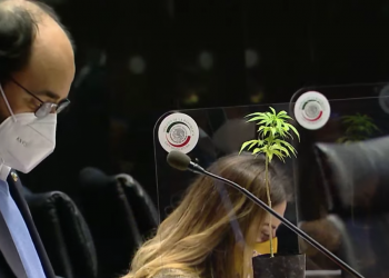 Mis reservas al dictamen sobre la legalización de la #mariguana. #NoALaCriminalización