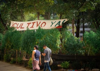 Fumatón por despenalización del uso de cannabis