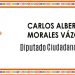 2do Informe Legislativo del Diputado Carlos Morales Vázquez