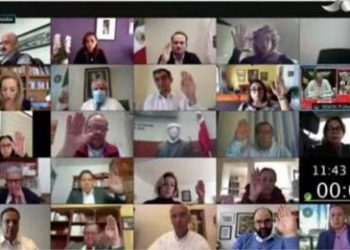 Sesión a distancia de la Cámara de Senadores 9 de febrero