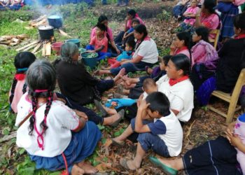 Se registraron más de 40 ataques hacia las comunidades de Aldama