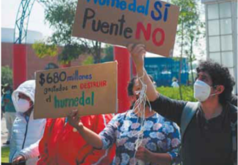 Construcción del Parque Ecológico Xochimilco destruyó el humedal de la zona