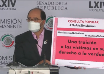 La Consulta Popular del 1 de agosto es una simulación
