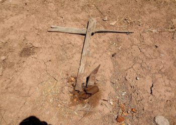 Crisis forense: más de 30 mil cuerpos sin identificar están enterrados en fosas comunes