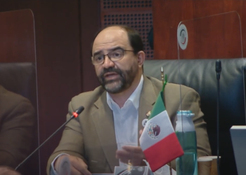 La política migratoria se debe replantear, el Senado debiera vigilar a la GN para evitar vergonzosos abusos contra migrantes.