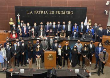 Incubando Legisladores