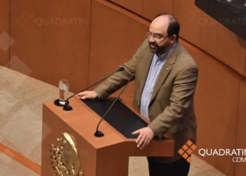 Baja en ingreso y alza en carencia de salud, señala Álvarez Icaza