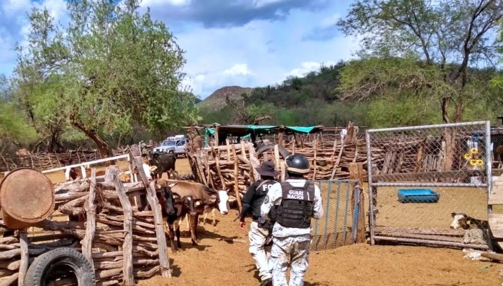 Confirman identificación de restos óseos de yaquis desaparecidos