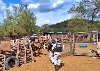 Confirman identificación de restos óseos de yaquis desaparecidos