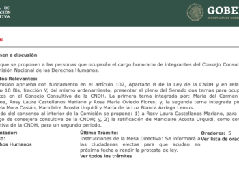 Proceso del primer relevo y/o sustitución de las y los integrantes del Consejo Consultivo de la cndh de la lxiv Legislatura