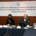 Audiencias públicas en materia de derechos de personas con discapacidad. Ley General de Movilidad