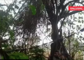 Enfrentamientos entre la delincuencia organizada y pobladores de Tepalcatepec