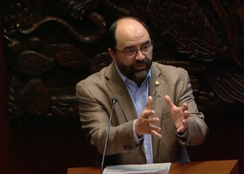 Alertamos de la regresión que significa trasladar SIPINNA al DIF￼