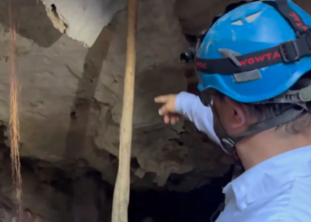 El daño a la Selva por el #TrenMaya es irreversible