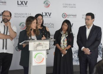 Senadoras y senadores del GPLURAL y MC llaman al presidente López Obrador visitar el Tramo 5 del Tren Maya para constatar la destrucción.