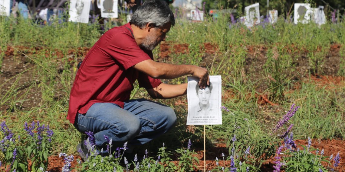 El Ahuehuete, Guardián de Nuestras y Nuestros Desaparecidos