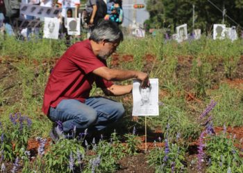 El Ahuehuete, Guardián de Nuestras y Nuestros Desaparecidos