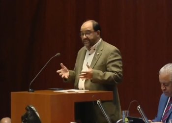 Se deben generar protocolos para la protección de la salud mental materna