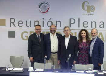 Reunión Plenaria Grupo Plural 29 de agosto 2022