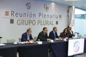 Reunión Plenaria Grupo Plural 29 de agosto 2022