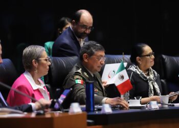 Posicionamiento ante la visita de la Sria. de la SSPC Rosa Icela Rodríguez