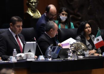 Posicionamiento ante la visita de la Sria. de la SSPC Rosa Icela Rodríguez