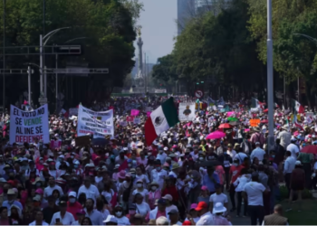 Álvarez Icaza sobre marcha a favor del INE: “Nos movimos para defender la democracia”