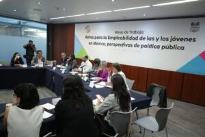 Mesa de trabajo: retos para la empleabilidad de las y los jóvenes en México, perspectivas de política pública