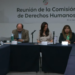 Reunión de la Comisión de Derechos Humanos, 30 de marzo 2023.