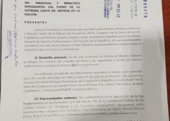 El Grupo Plural presentó ante la SCJN  siete acciones de inconstitucionalidad