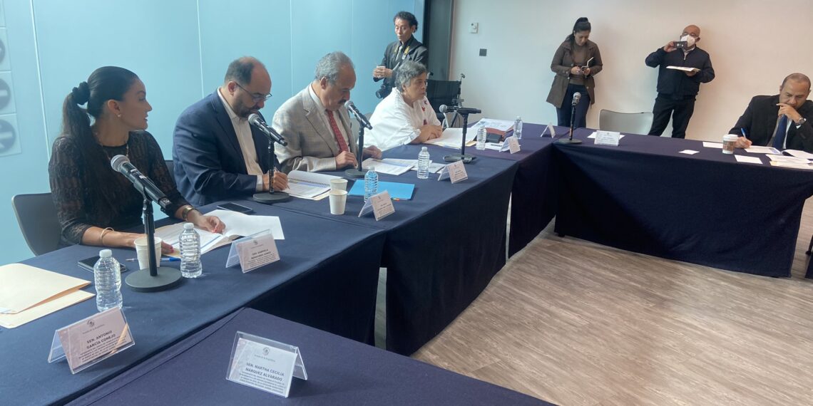 Grupo de trabajo de seguimiento a los hechos en la Estación Migratoria de Ciudad Juárez, Chihuahua