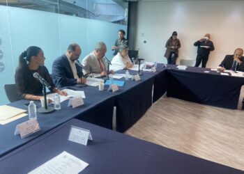 Grupo de trabajo de seguimiento a los hechos en la Estación Migratoria de Ciudad Juárez, Chihuahua