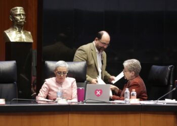 Comparecencia de la titular de la SRE, Alicia Bárcena Ibarra