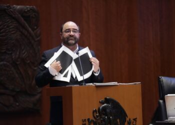 El modelo militar detrás es un nuevo pacto cívico militar, es una cogobernanza con las FA