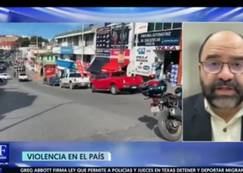 Hemos pasado de la delincuencia organizada a la delincuencia autorizada