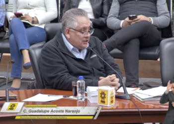 Se integra Guadalupe Acosta Naranjo al Consejo General del INE