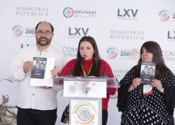 Impunidad e injusticia en el caso de David y Miguel