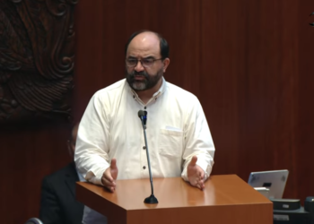 Respeten la voluntad popular para representación en la Cámara de Diputados